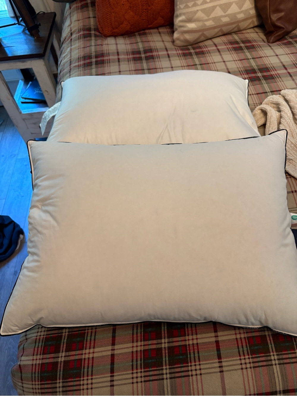Pacific Coast Feather Down Pillows Standard set of 2